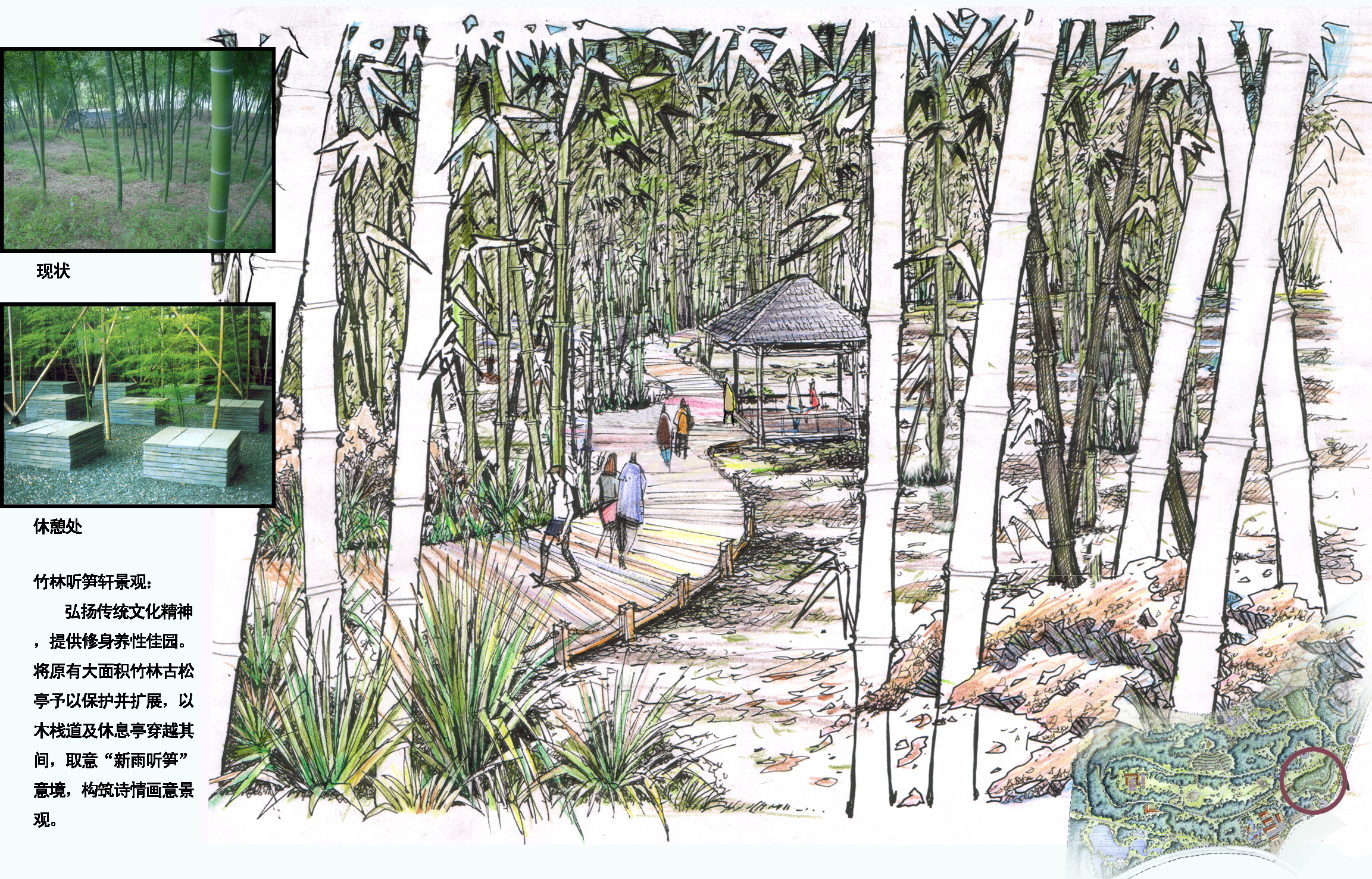 竹林平面图手绘画法